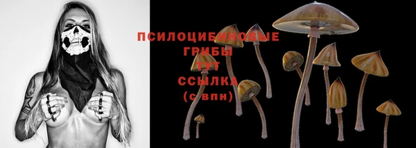 прущая мука Алзамай