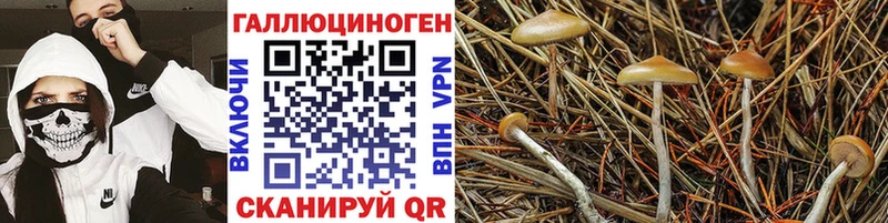 Псилоцибиновые грибы мухоморы  Олонец 