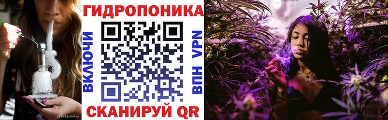 Каннабис White Widow  нарко площадка официальный сайт  Олонец 